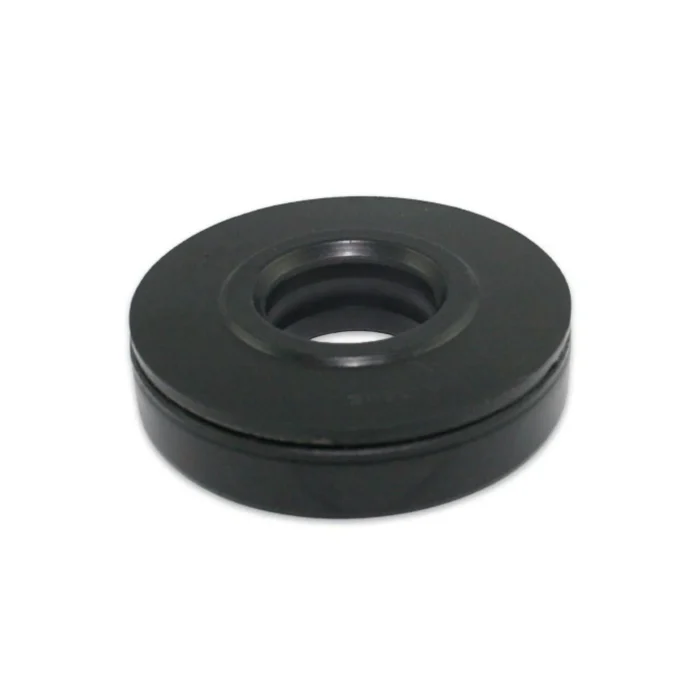 Simering 25x62x10.5/17 (AQ1389E) -2 Simering 25x62x10.5/17 (AQ1389E) -2